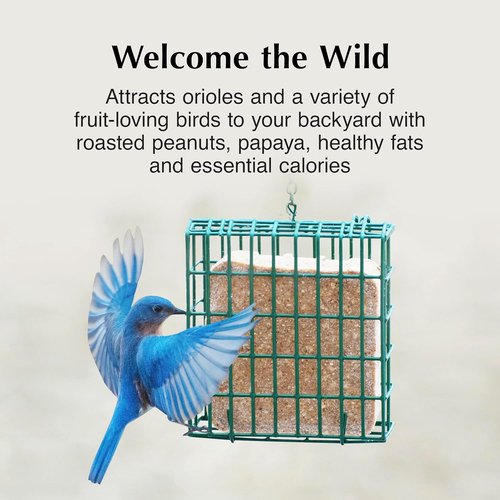 C&S Oriole Delight Suet Cakes - No Melt Formula for Wild Birds | 11.75 Ounces, Pack of 8