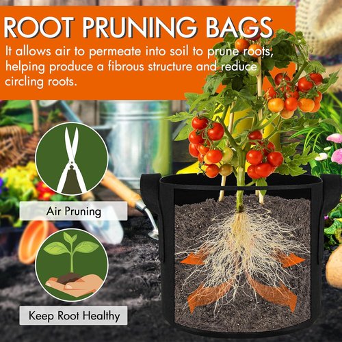 Gardzen 1 Gallon Grow Bags - 10-Pack Heavy Duty Aeration Fabric with Handles, 300G Thickness