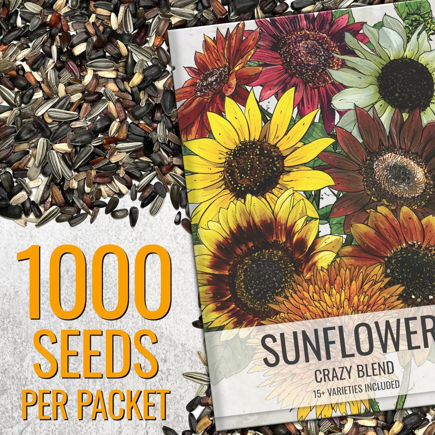 Seed Needs Sunflower Seeds - Crazy Blend Heirloom Varieties | 1 Ounce Resealable Bulk Package