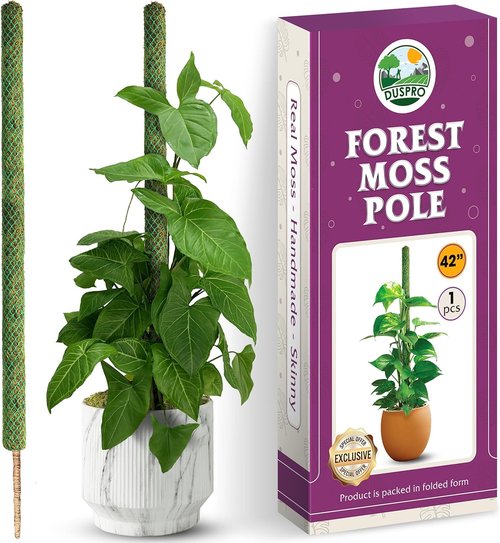 DUSPRO 42” Mesh Moss Pole - Natural Support for Climbing Plants | Ideal for Monstera & Indoor Use