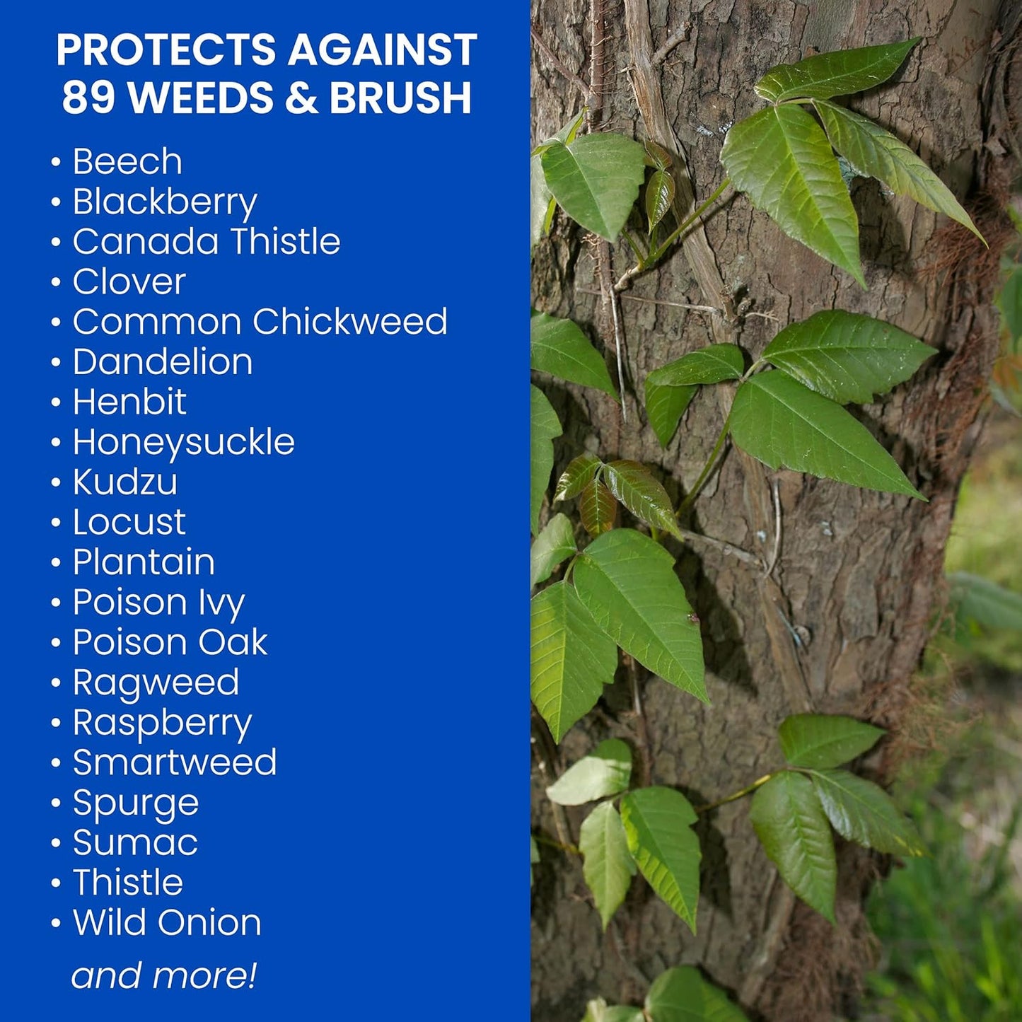 BioAdvanced Brush Killer Plus - Ready-to-Use Weed Killer Sprayer | 1.3 Gal - Eliminates Tough Brush & Poison Ivy Roots
