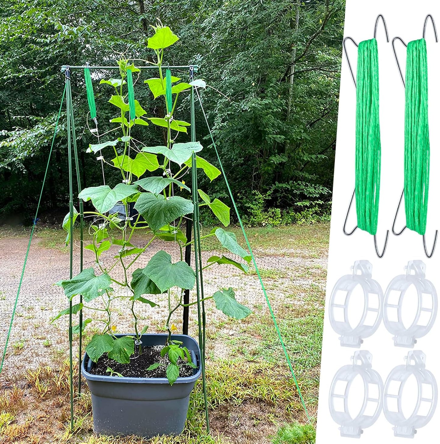 Skiennix Tomato Support Hooks - 30Pcs Plant Holder Clips with 33.3ft Twine for Secure Growth