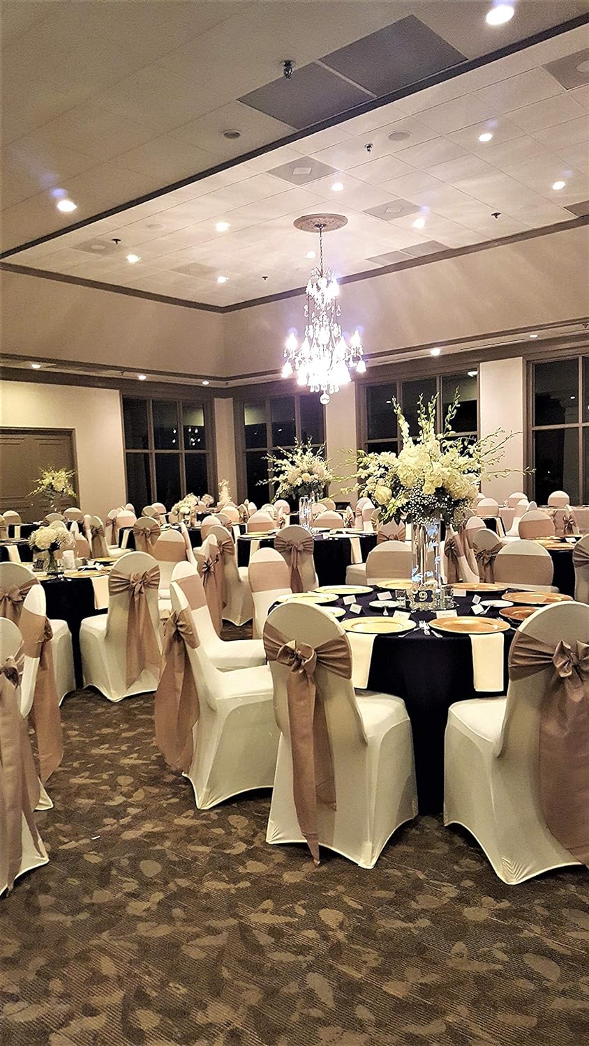 Obstal 10 PCS Satin Chair Sashes - Elegant Bows for Wedding & Event Decor | Universal Fit for Chairs