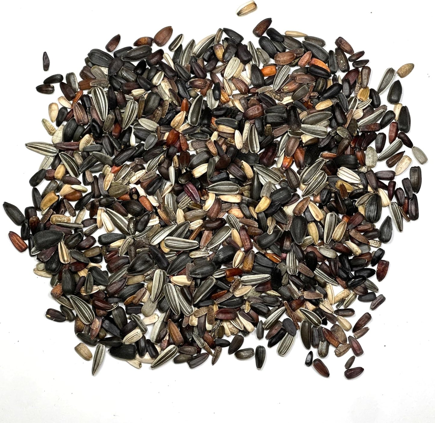 Seed Needs Sunflower Seeds - Crazy Blend Heirloom Varieties | 1 Ounce Resealable Bulk Package