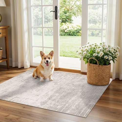HAOYUNLAI Entryway Area Rug - Soft Abstract Design | Washable Non-Slip Carpet for Kitchen & Bedroom (2x3, Beige/Cream)