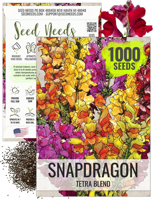 Seed Needs Mixed Tetra Snapdragon Seeds - 1,000 Heirloom Seeds for Butterfly Gardens | Annual Antirrhinum Majus