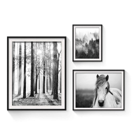 Forest Sunrise Pictures Framed Prints - Peaceful Landscape Scene and Elegant White Horse Wall Art Sets for Living Room, Bedroom, Office, Bathroom 3 Panels