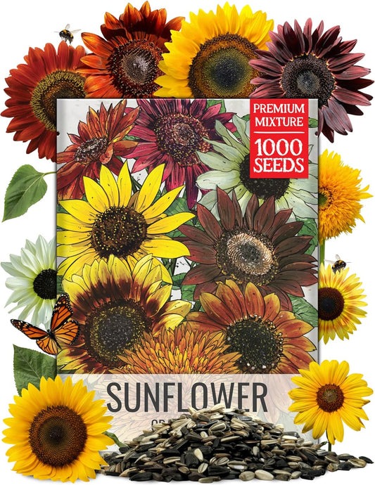 Seed Needs Sunflower Seeds - Crazy Blend Heirloom Varieties | 1 Ounce Resealable Bulk Package