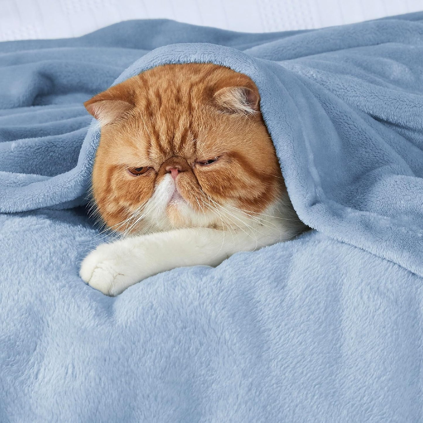 Bedsure GentleSoft Fleece King Size Blanket - Soft, Lightweight, Plush Microfiber in Light Blue, 108x90 Inches