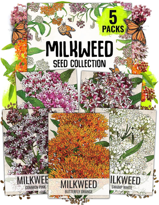 Seed Needs Milkweed Seeds - Attract Monarch Butterflies with Pink, Orange & White Variety Pack (5 Packs)