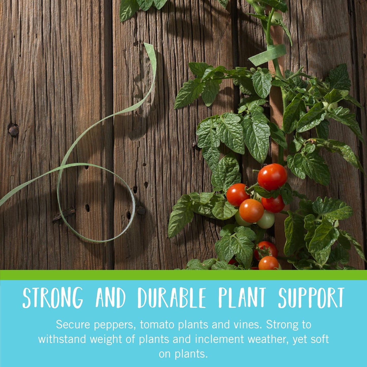 VELCRO Brand Garden Ties - Reusable & Adjustable Plant Supports | 50 ft x 1/2 in, Green Recycled Plastic