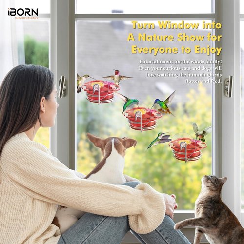 iBorn Mini Hummingbird Feeder - 3 Oz Outdoor Feeder with Strong Suction Cup & Stainless Steel Base | 3 Feeding Ports